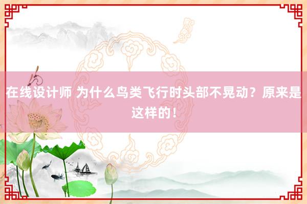 在线设计师 为什么鸟类飞行时头部不晃动？原来是这样的！